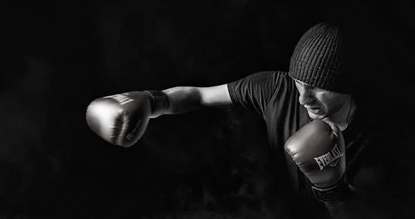 Boxer - Englisch.net